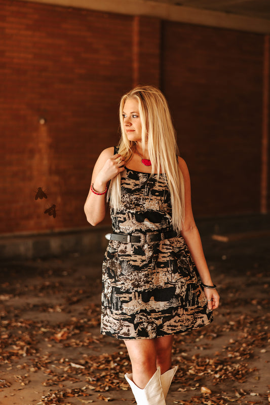 PAINTED DESERT dress