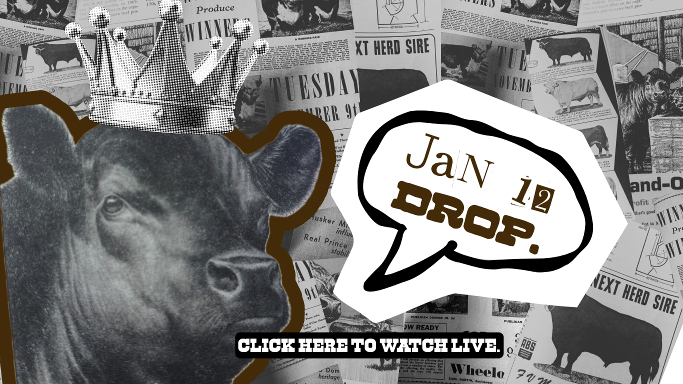 Load video: JANUARY 12,2025 2 FLY CO NEW DROPS VIDEO WITH DESCRIPTIONS AND STYLE TIPE FOR WESTERN WHOLESALE PRODUCTS.