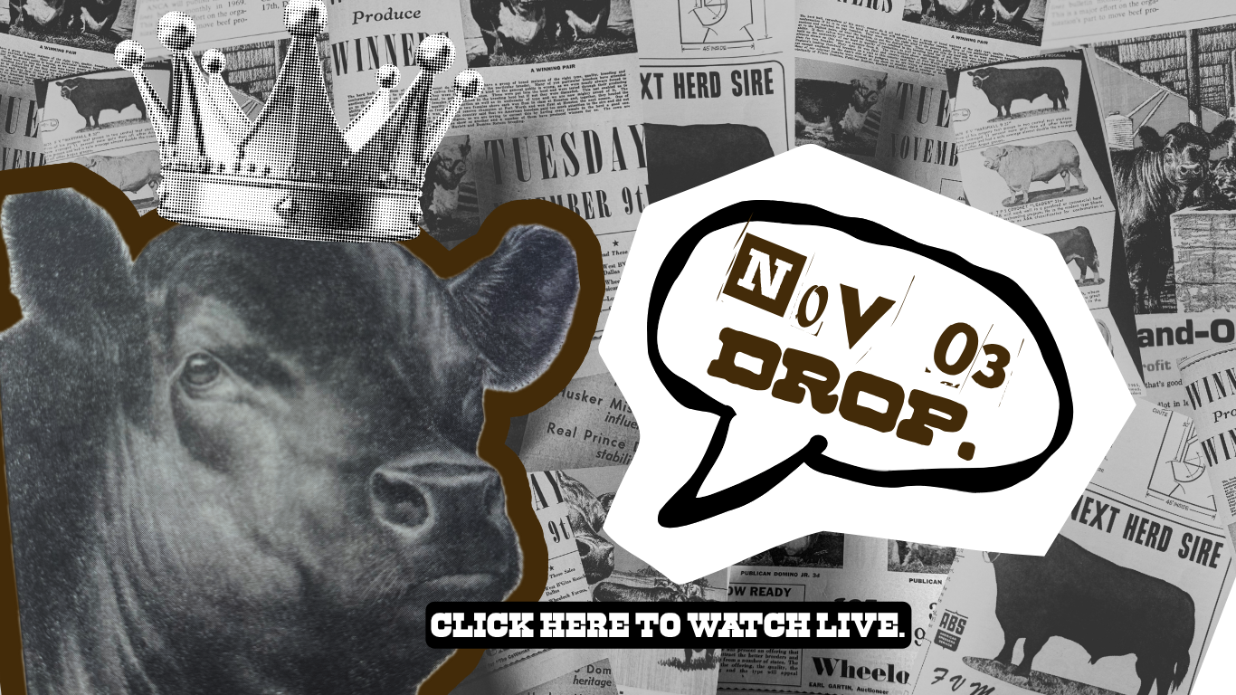 Load video: NOVEMBER 03. 2025 2 FLY CO NEW DROPS VIDEO WITH DESCRIPTIONS AND STYLE TIPE FOR WESTERN WHOLESALE PRODUCTS.