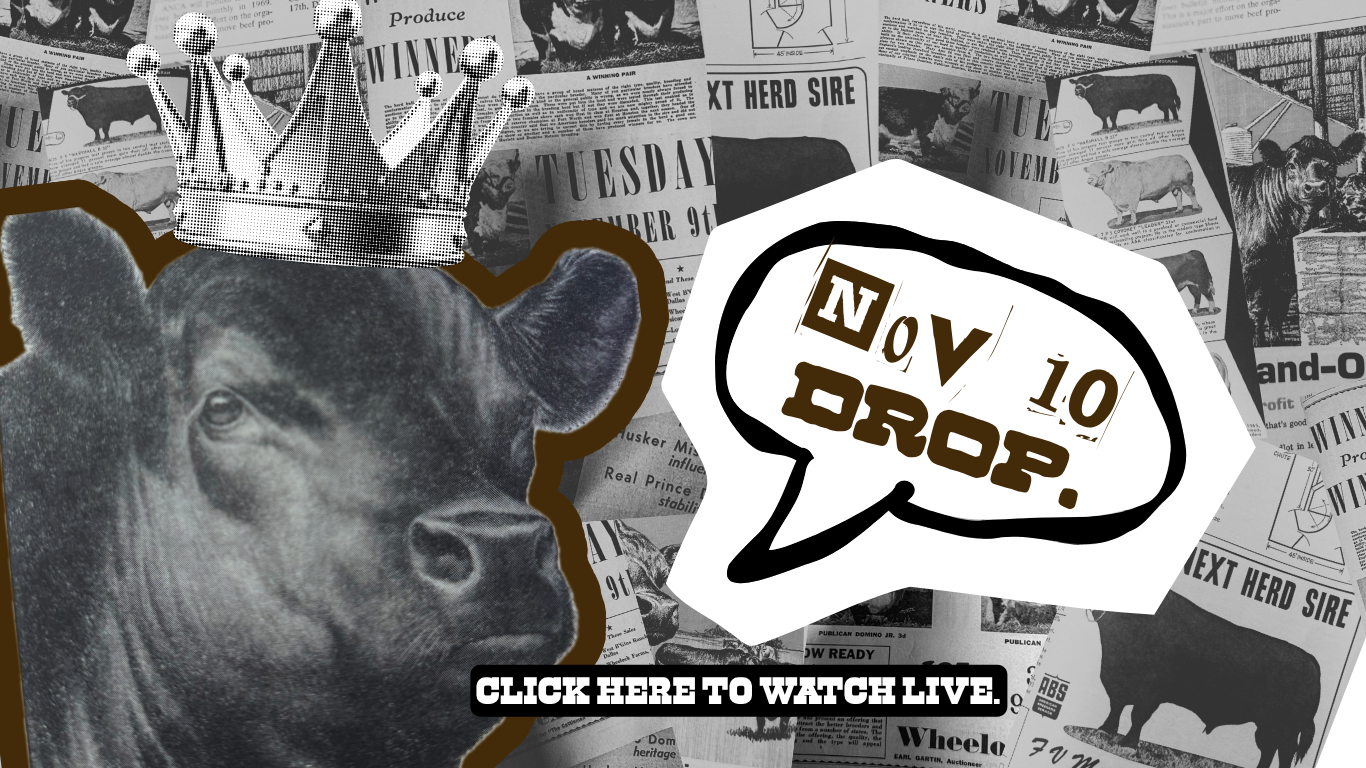 Load video: NOVEMBER 10. 2025 2 FLY CO NEW DROPS VIDEO WITH DESCRIPTIONS AND STYLE TIPE FOR WESTERN WHOLESALE PRODUCTS.