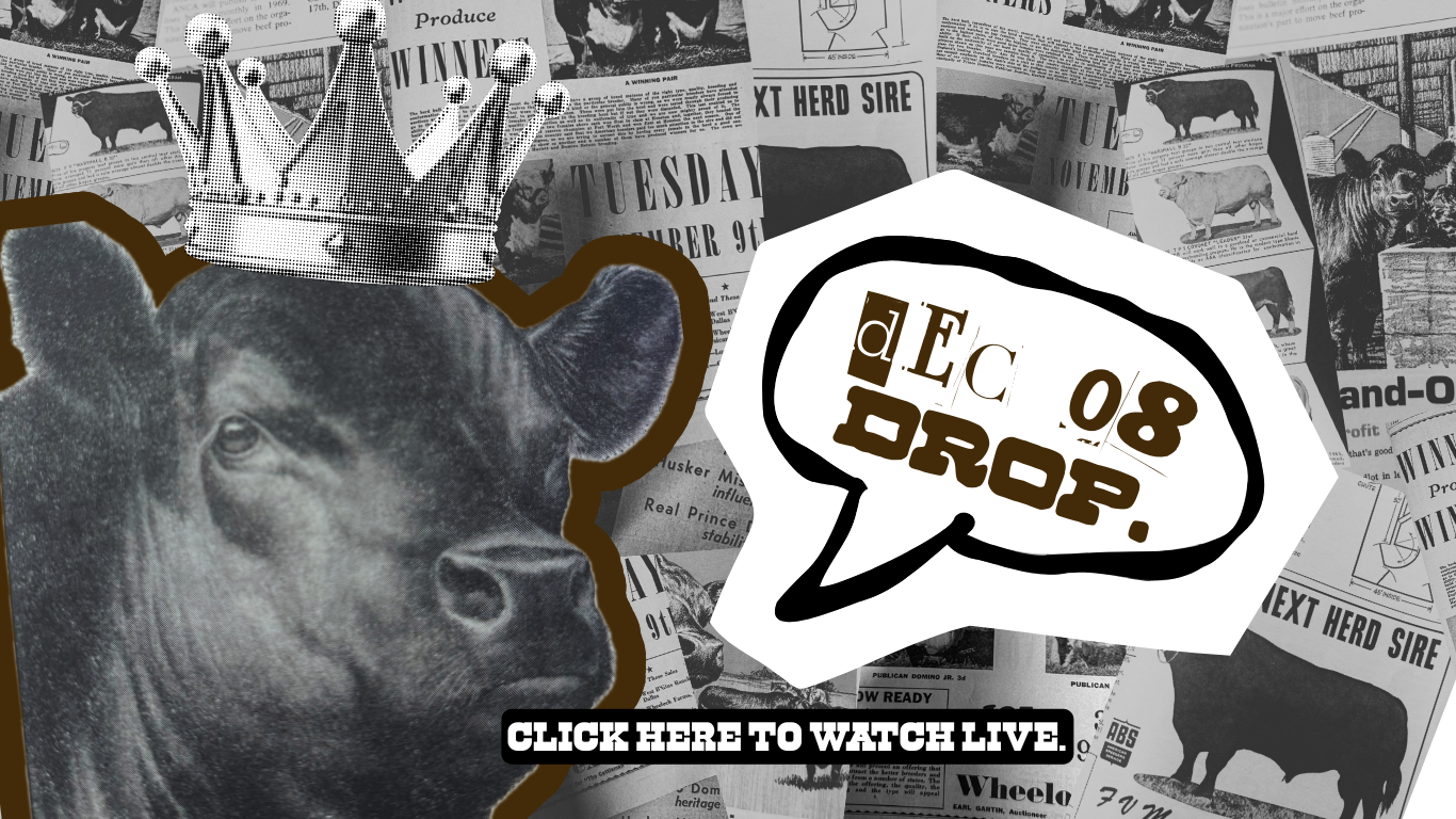 Load video: DECEMBER 008. 2025 2 FLY CO NEW DROPS VIDEO WITH DESCRIPTIONS AND STYLE TIPE FOR WESTERN WHOLESALE PRODUCTS.