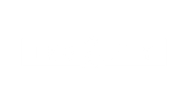 2 Fly Co.
