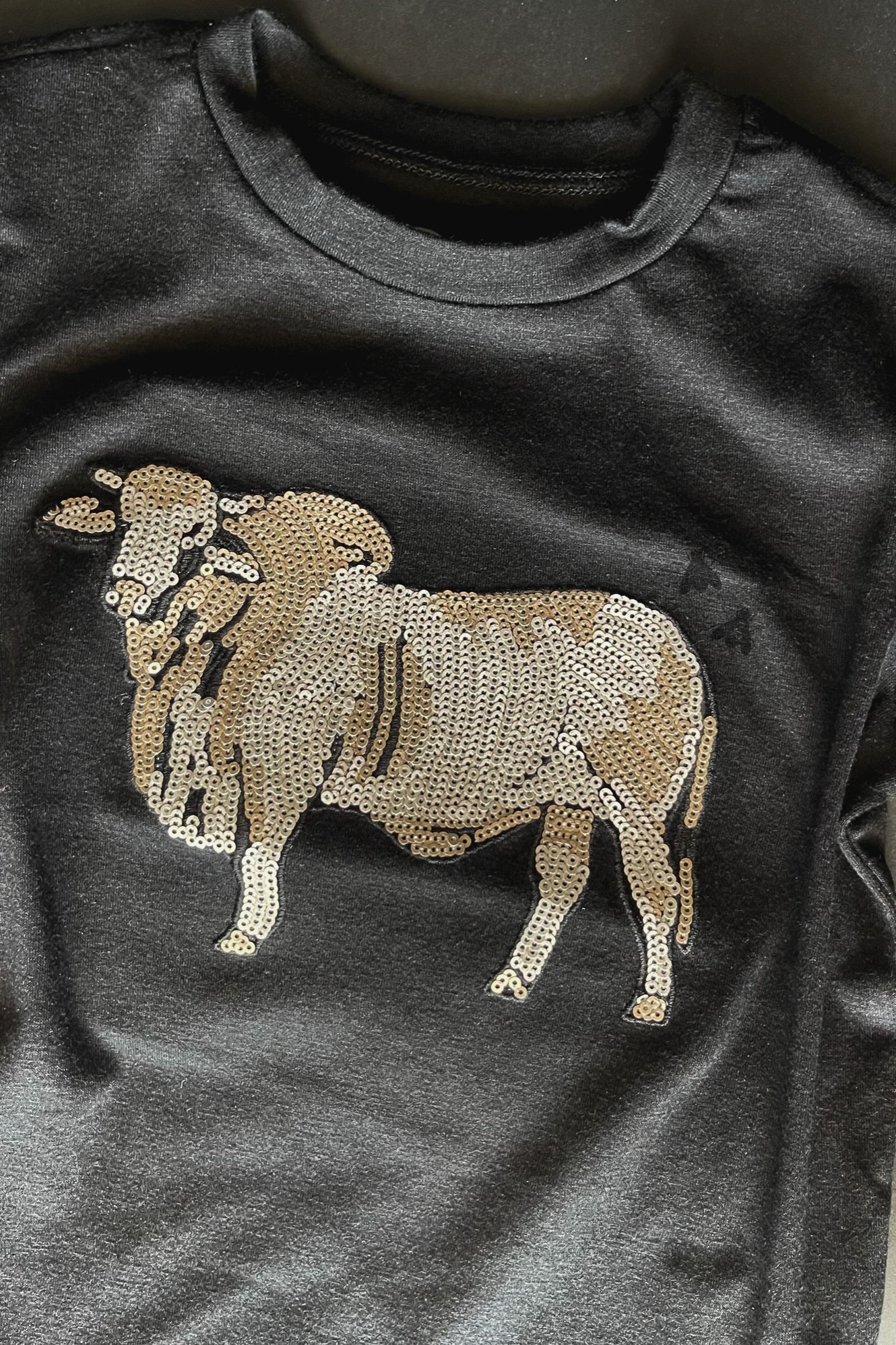 BOOYAH BRAHMA [KIDS]