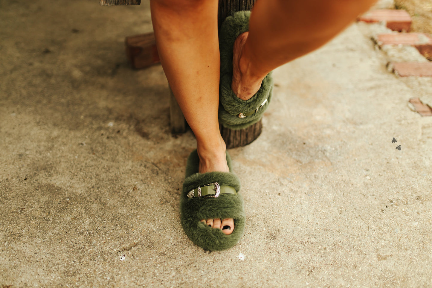 HOME BUCKLES *CACTI