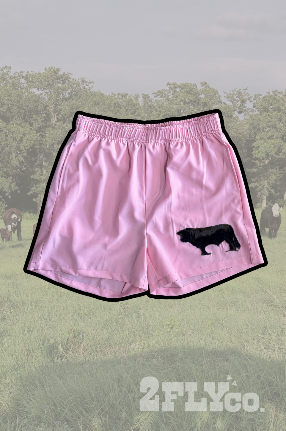 CATTLE CLUB SHORTS *ANGUS