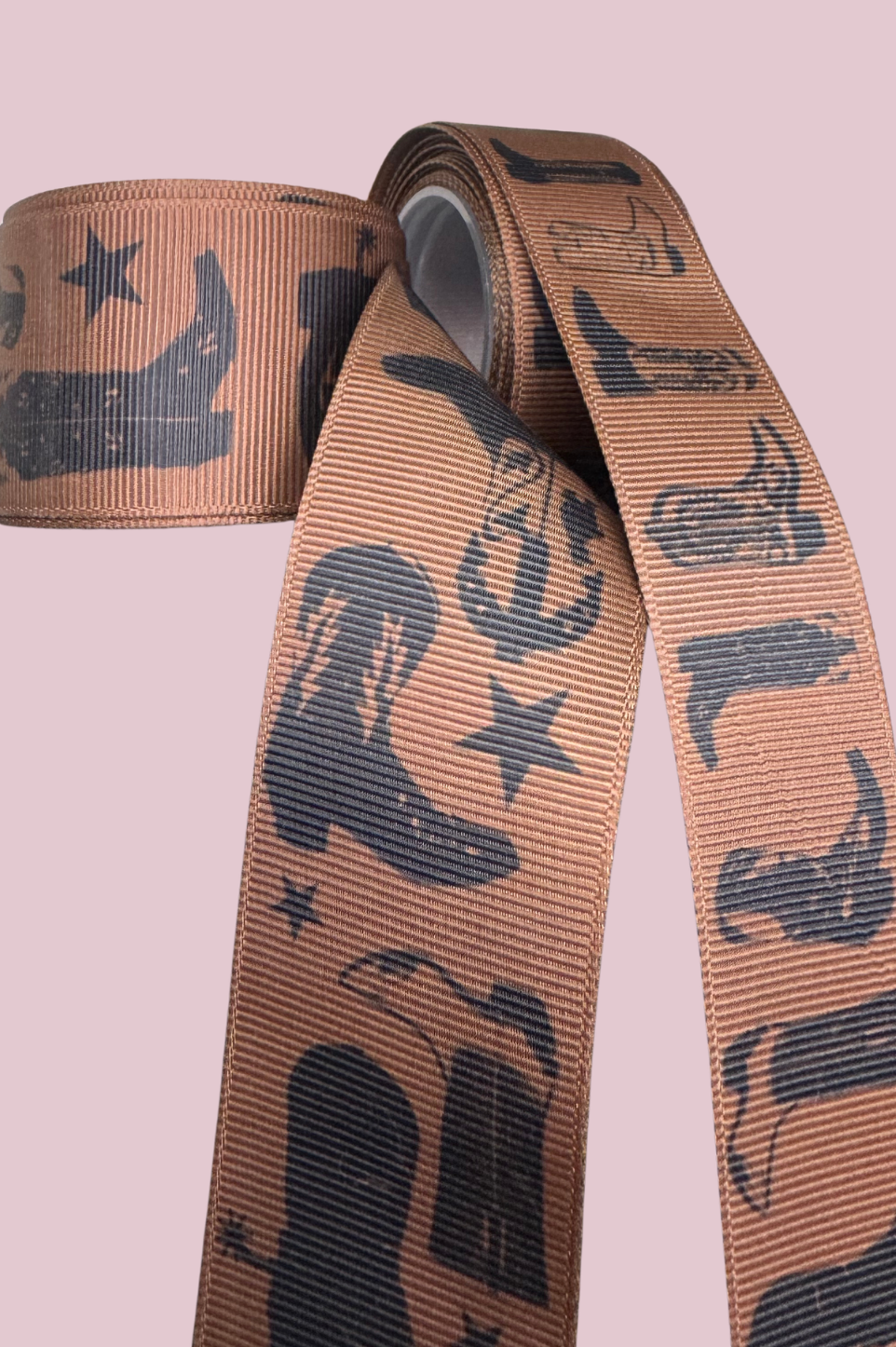 SKINNY RIBBON