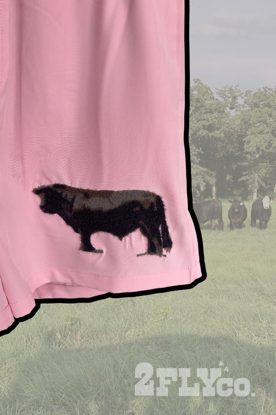 CATTLE CLUB SHORTS *ANGUS