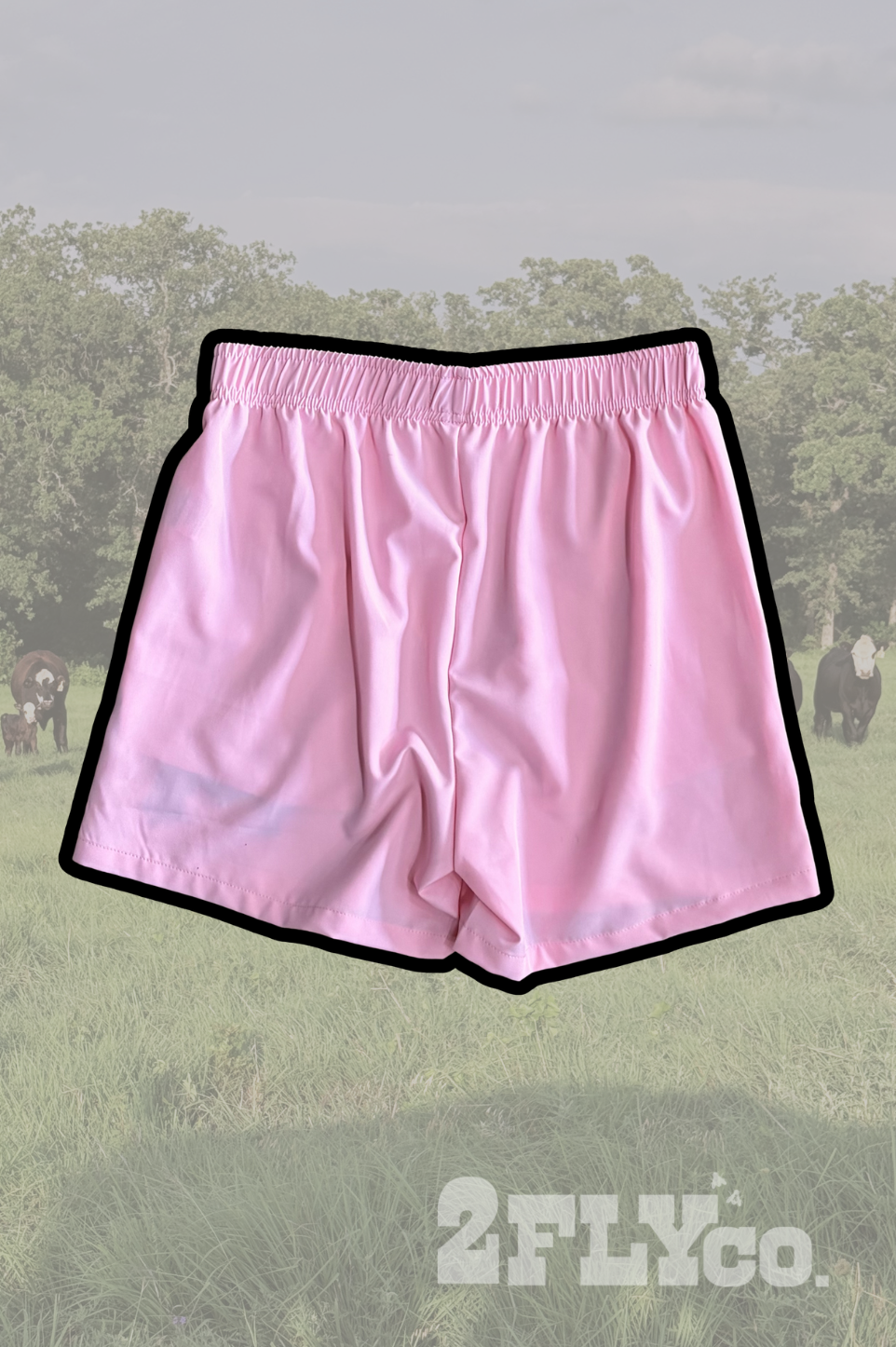 CATTLE CLUB SHORTS *ANGUS