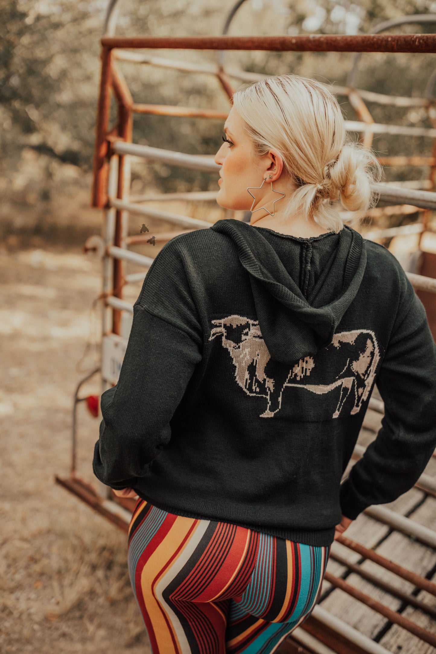 BRAHMA MOODS *FLASH SALE