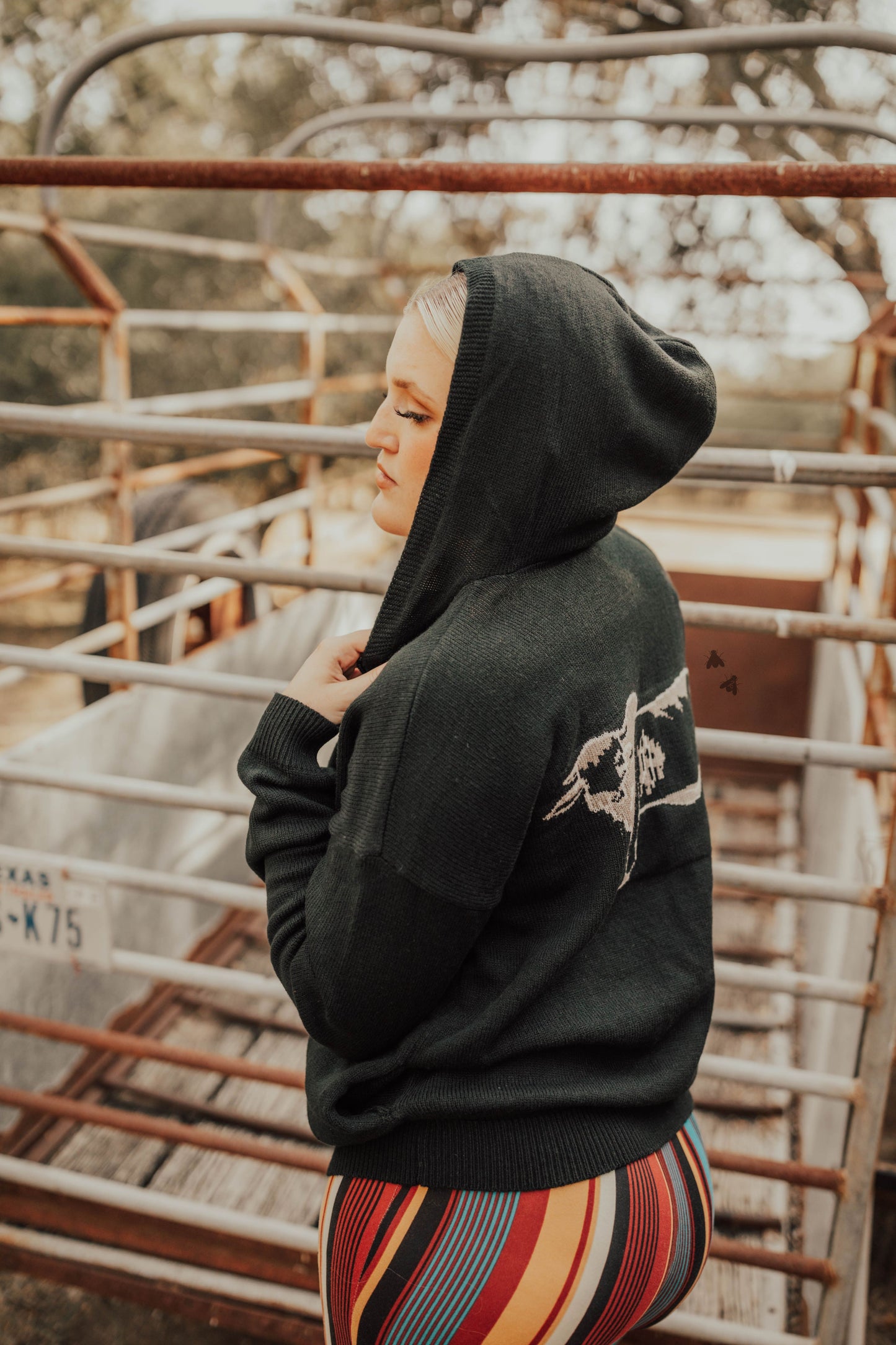 BRAHMA MOODS *FLASH SALE