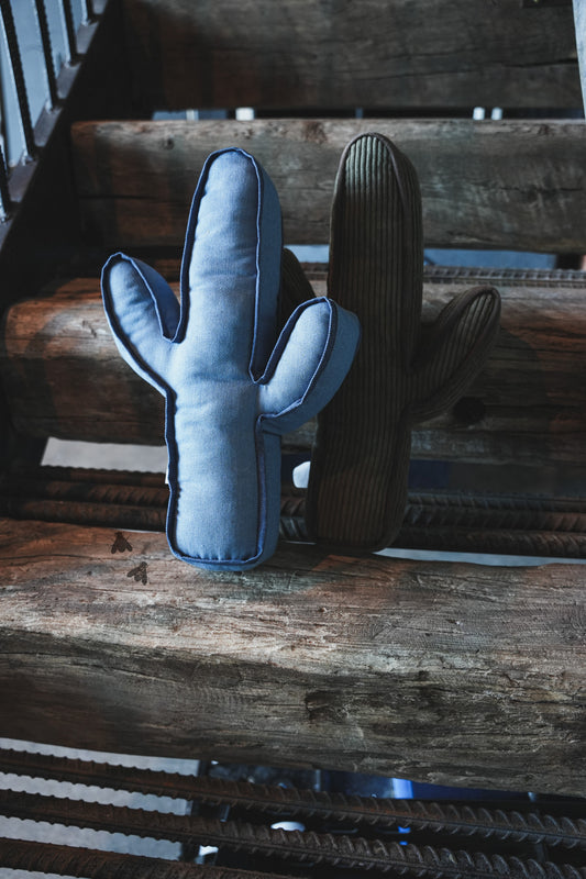 KICK A CACTUS PILLOW