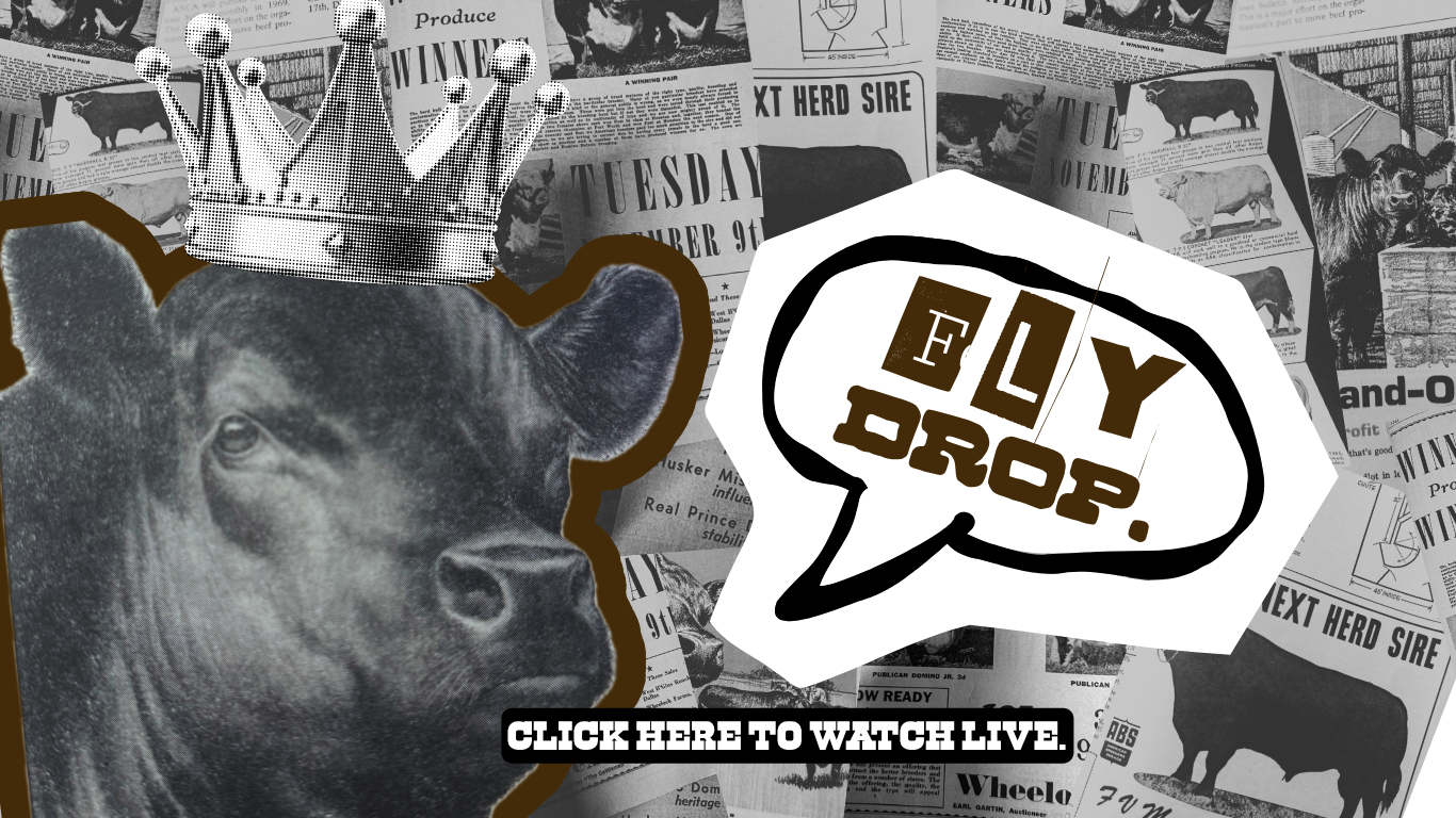 Load video: FLY DROP --  2 FLY CO NEW DROPS VIDEO WITH DESCRIPTIONS AND STYLE TIPE FOR WESTERN WHOLESALE PRODUCTS.