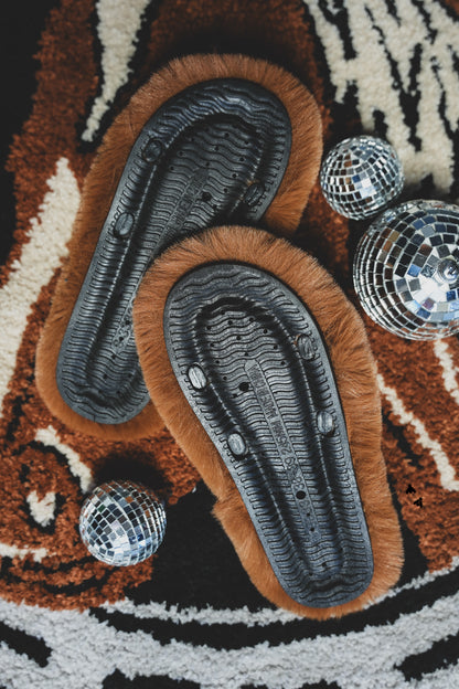 HOME BUCKLES *CACTI