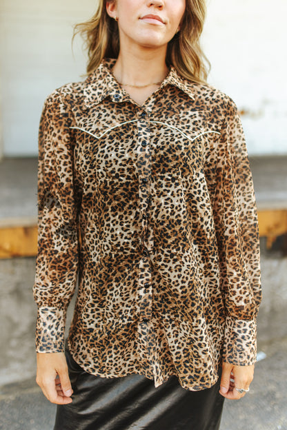 WESTERN WILD *LEOPARD