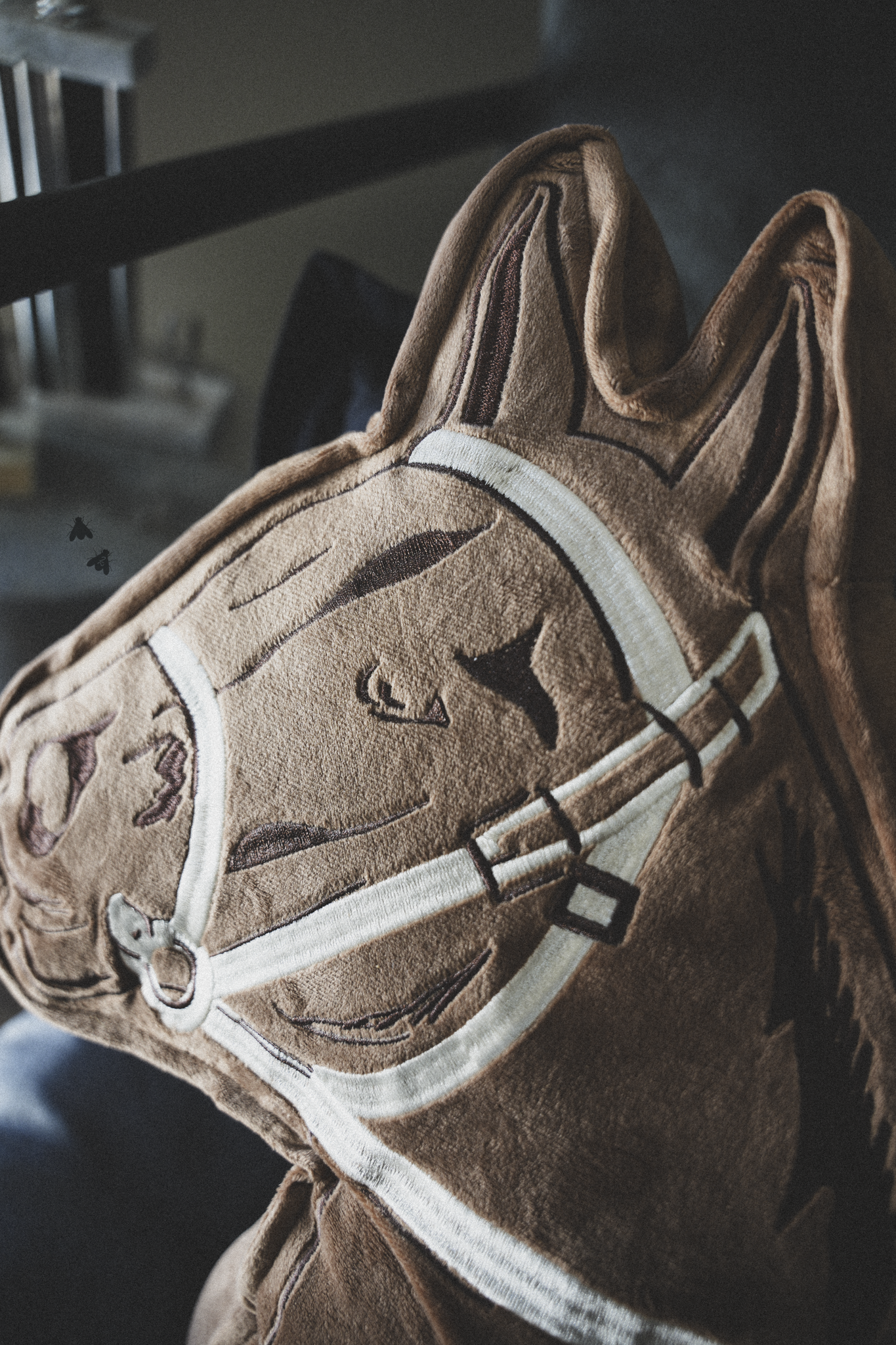 SHOW PONY *BAY BROWN