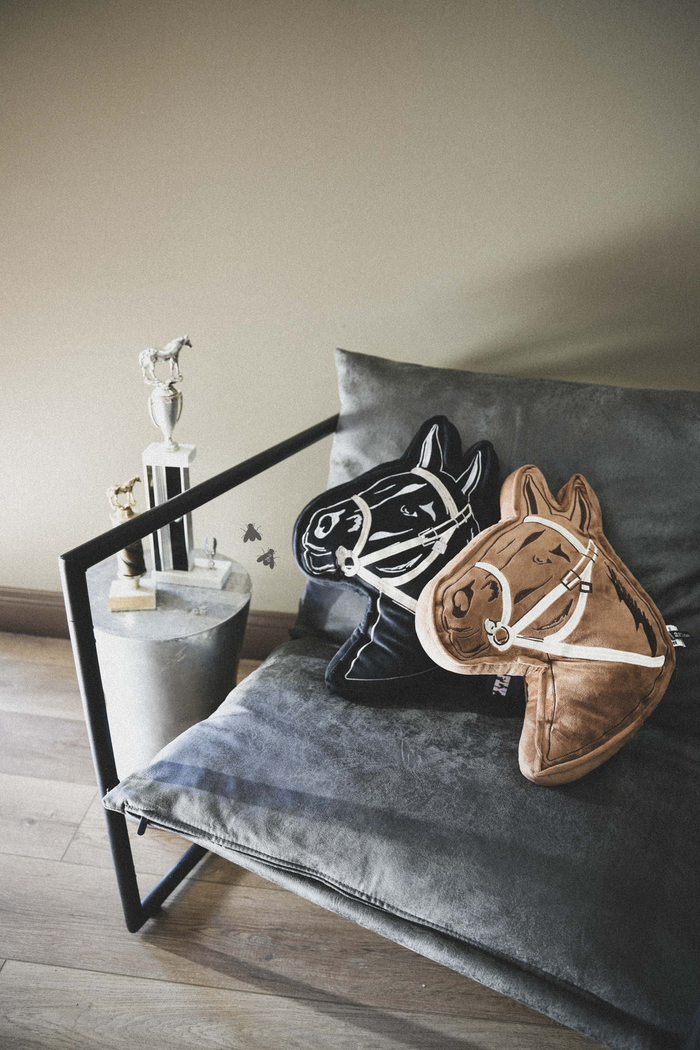 SHOW PONY *BAY BROWN