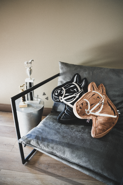 SHOW PONY *BAY BROWN