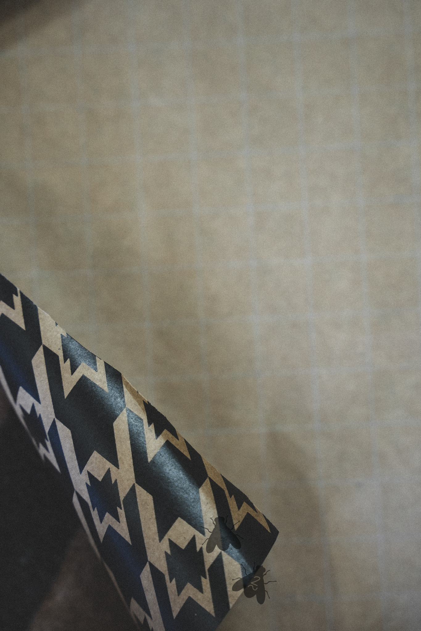 WRAP THA PREZ *POSH AZTEC