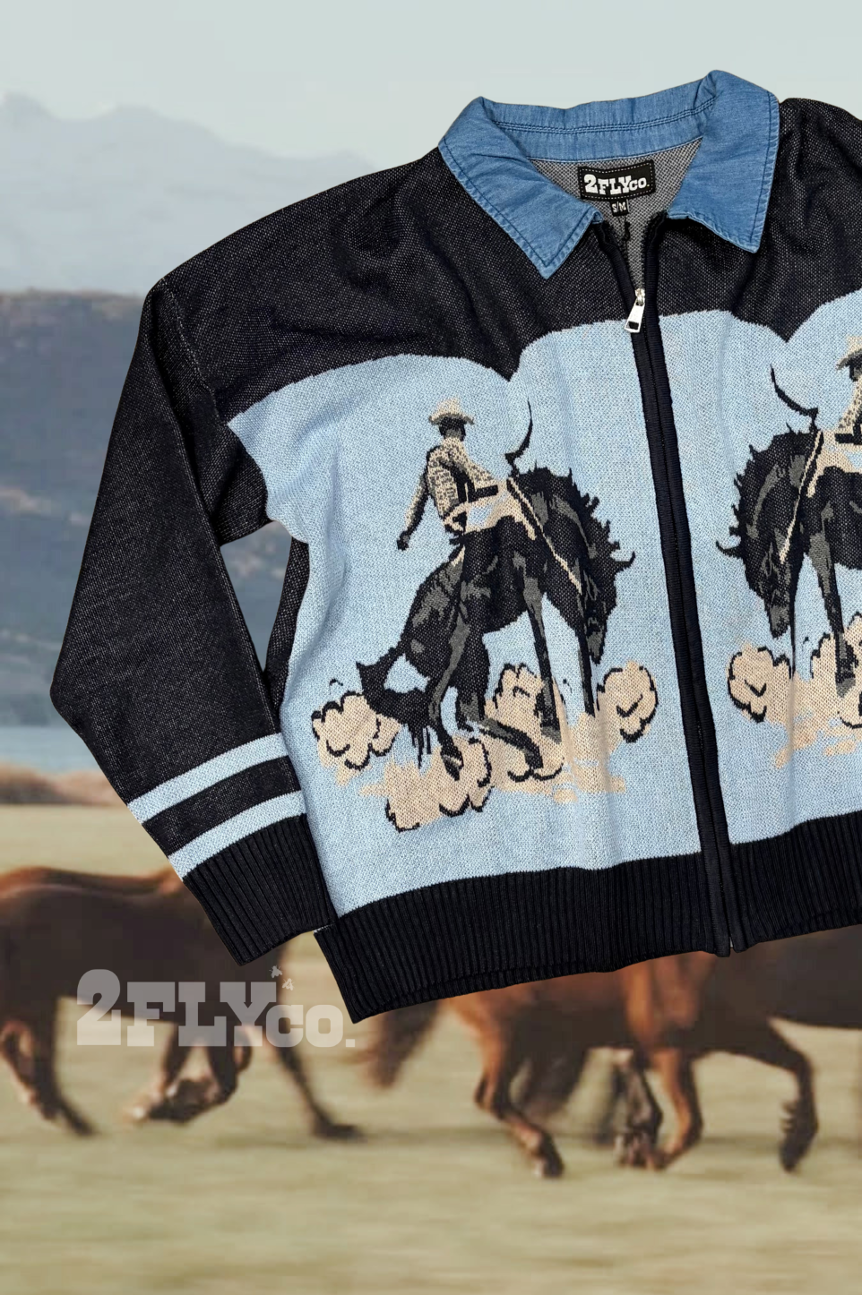 BRONC BLUES