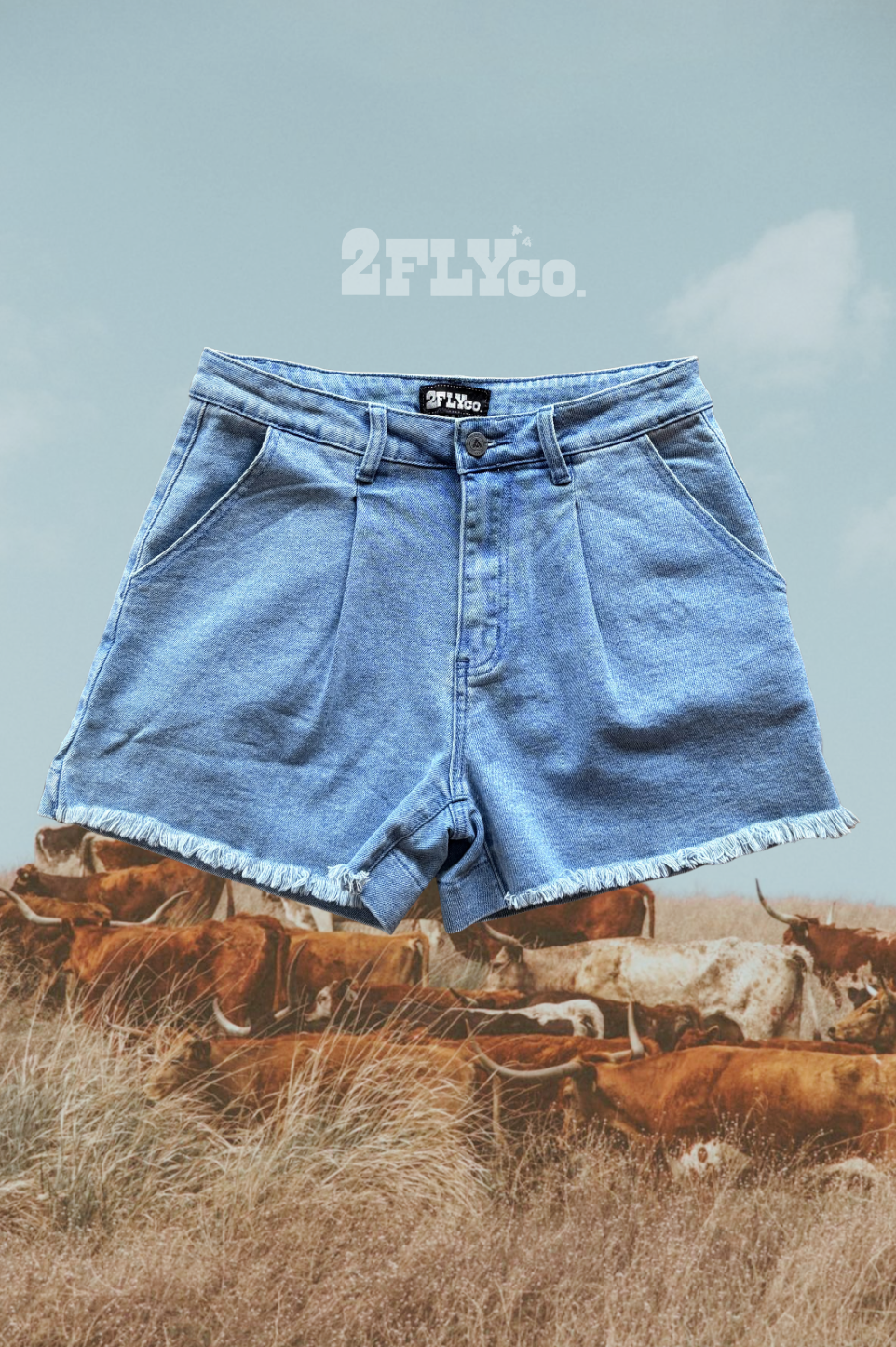 CANYON CUT SHORTS