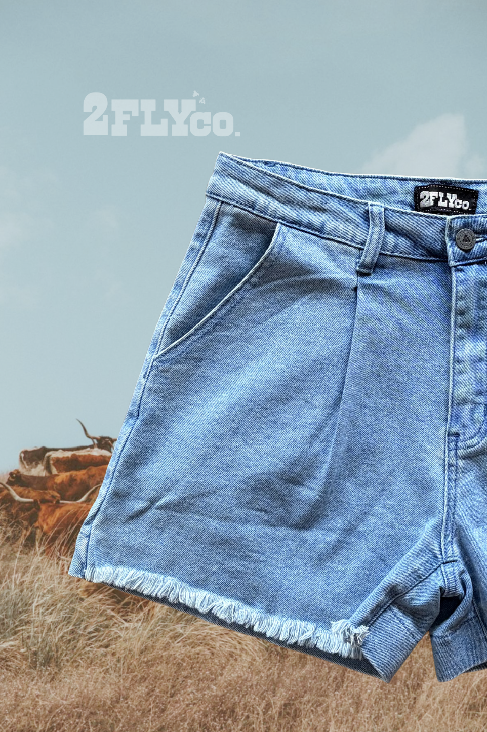 CANYON CUT SHORTS
