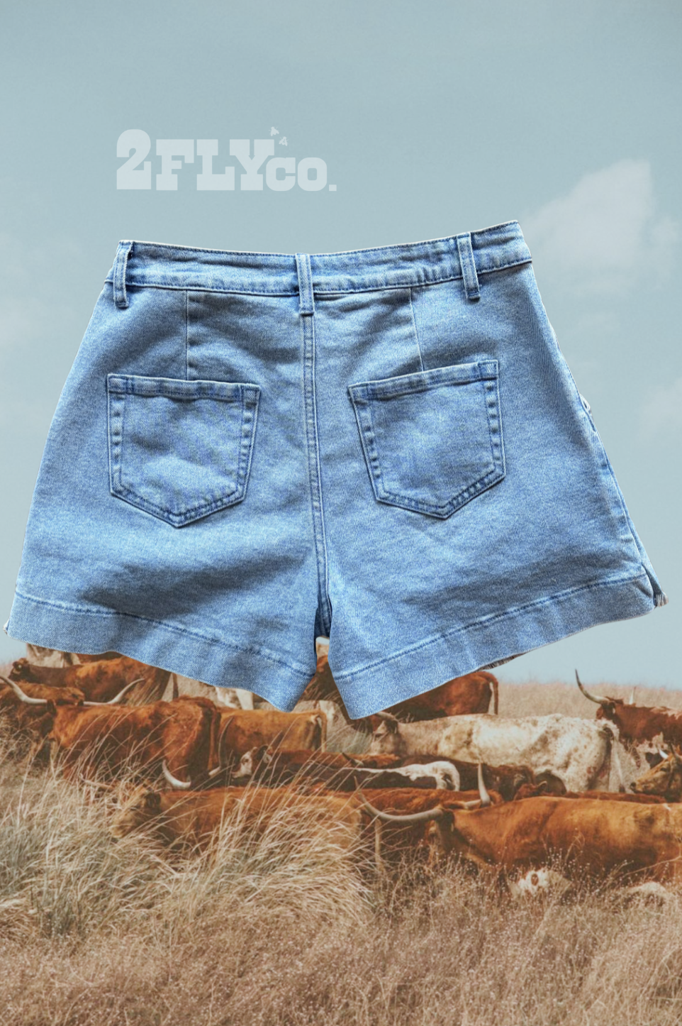 CANYON CUT SHORTS