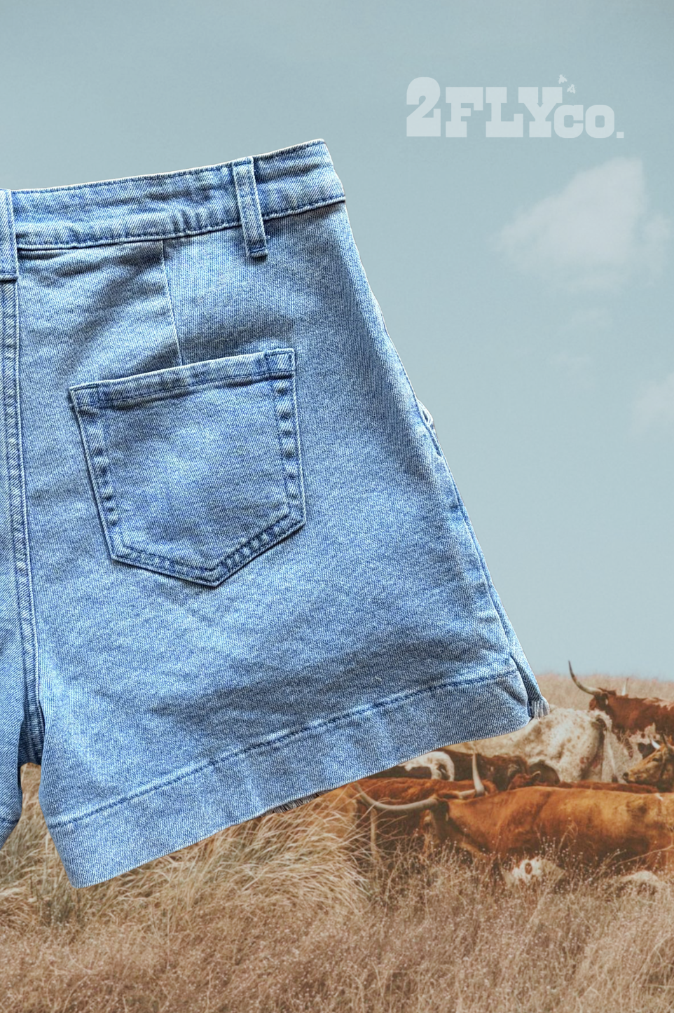 CANYON CUT SHORTS