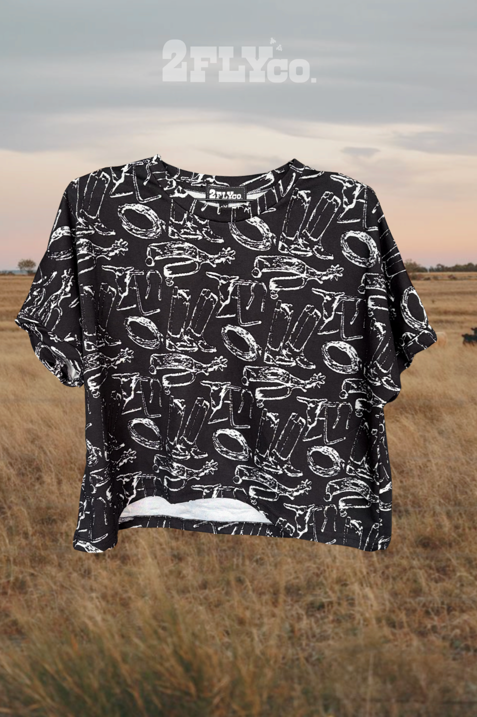 COWBOY CONSTELLATIONS