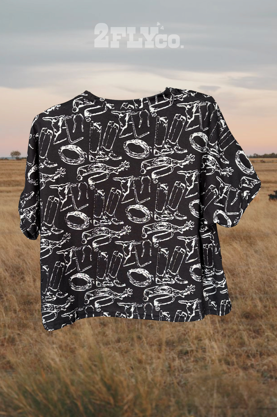 COWBOY CONSTELLATIONS