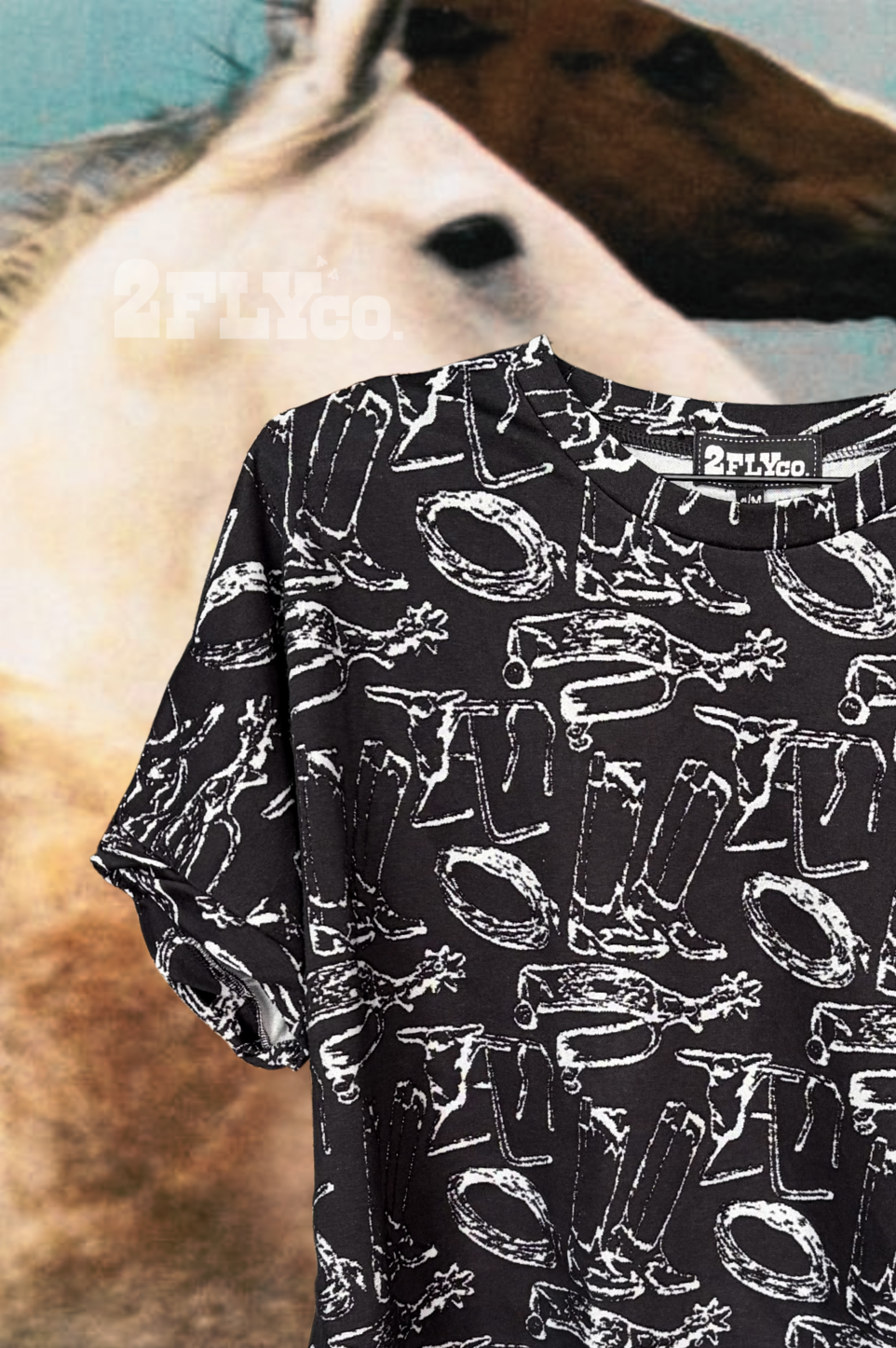 COWBOY CONSTELLATIONS