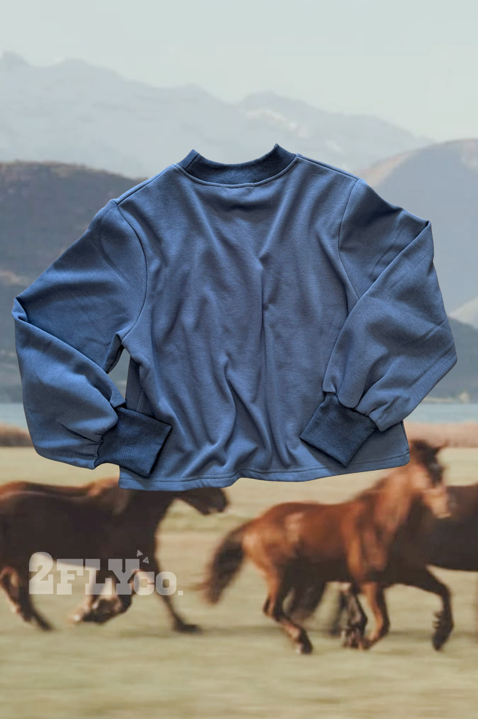 HOLD YOUR HORSES