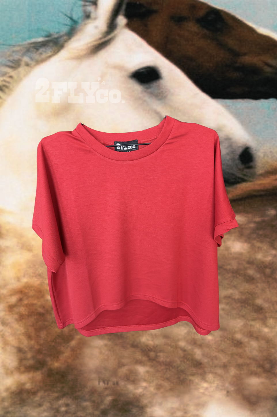 RED MESA TOP