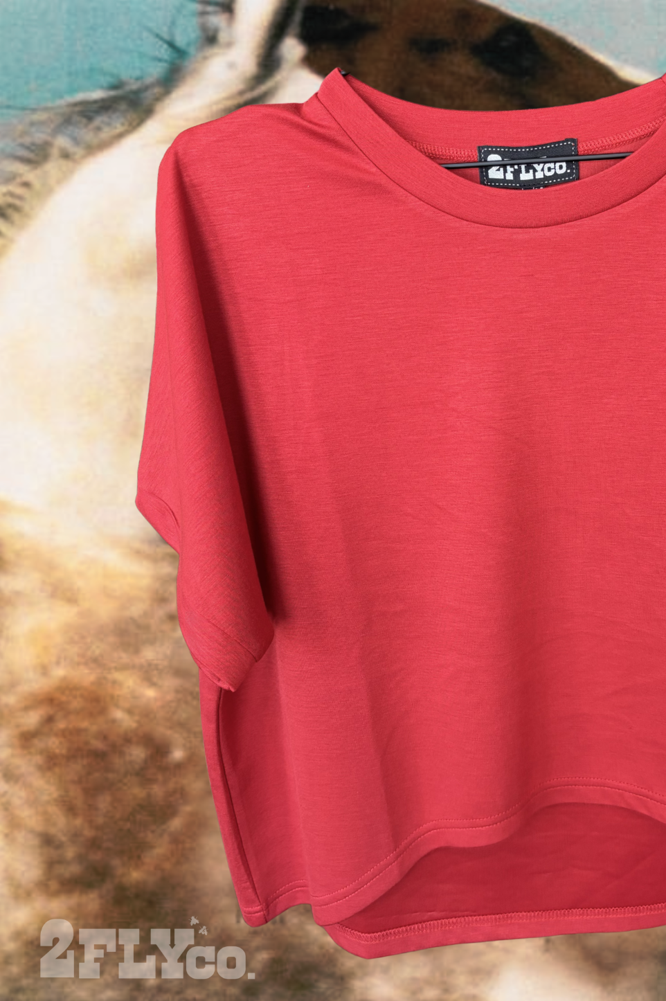 RED MESA TOP