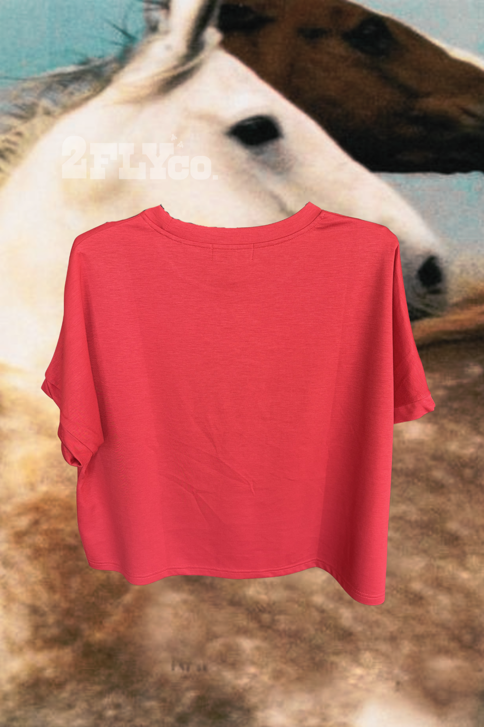 RED MESA TOP