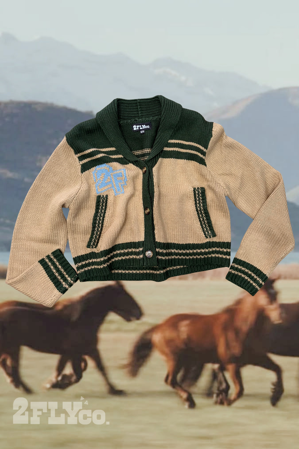VINTAGE VARSITY