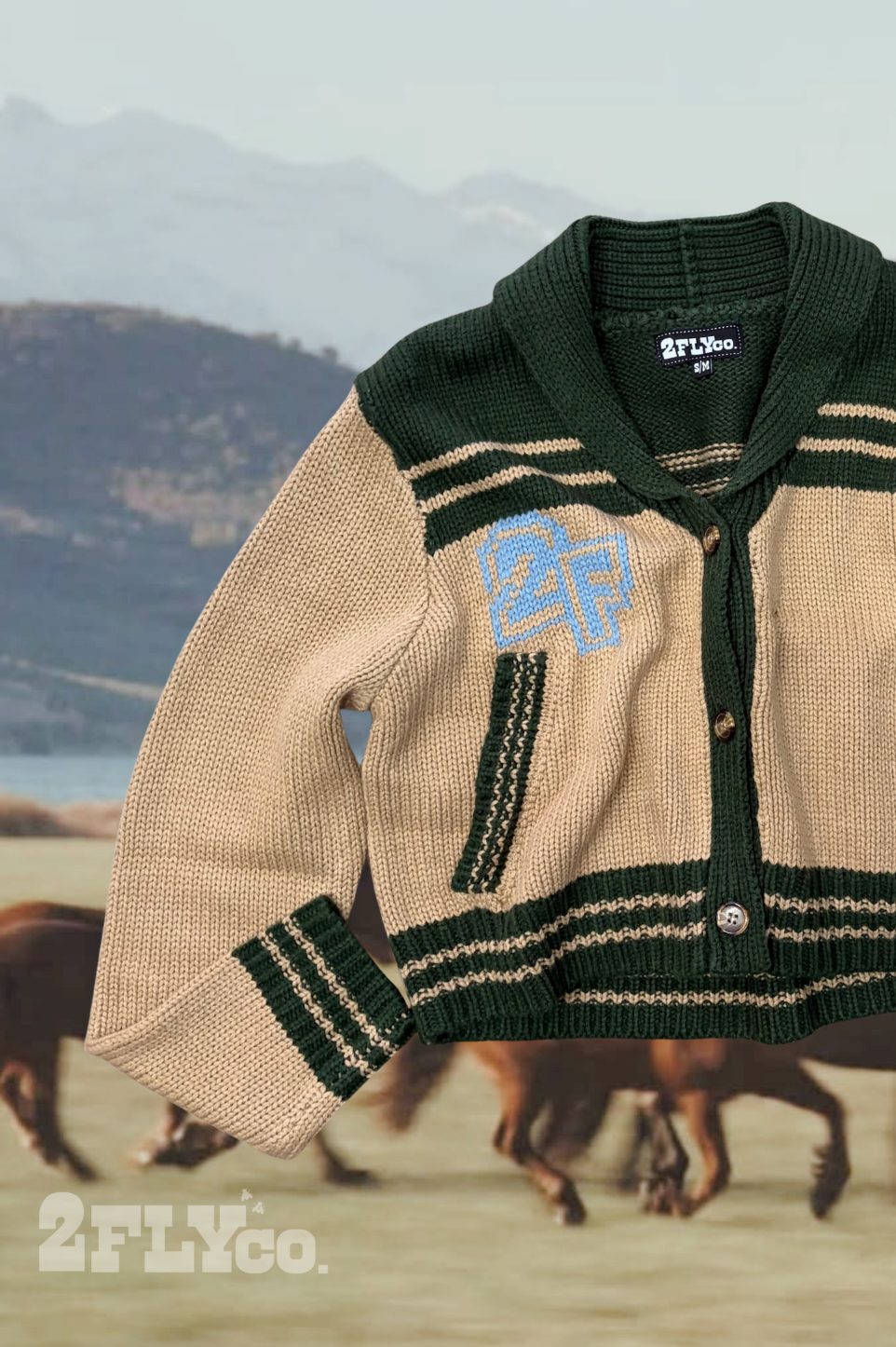VINTAGE VARSITY