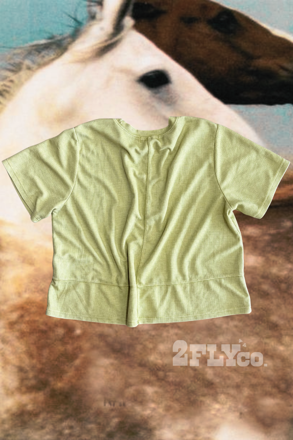 WESTERN CLASSIC *ZESTY