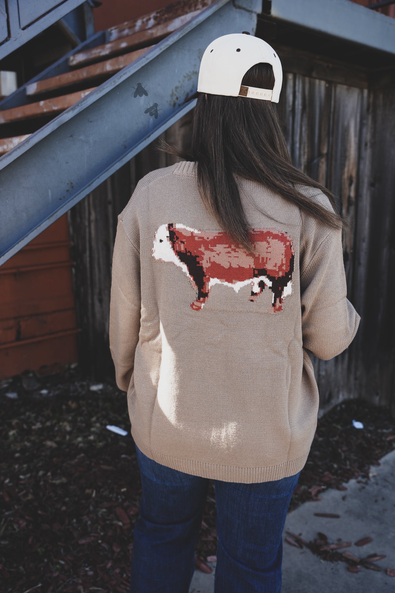 CATTLE BABE *HERFY