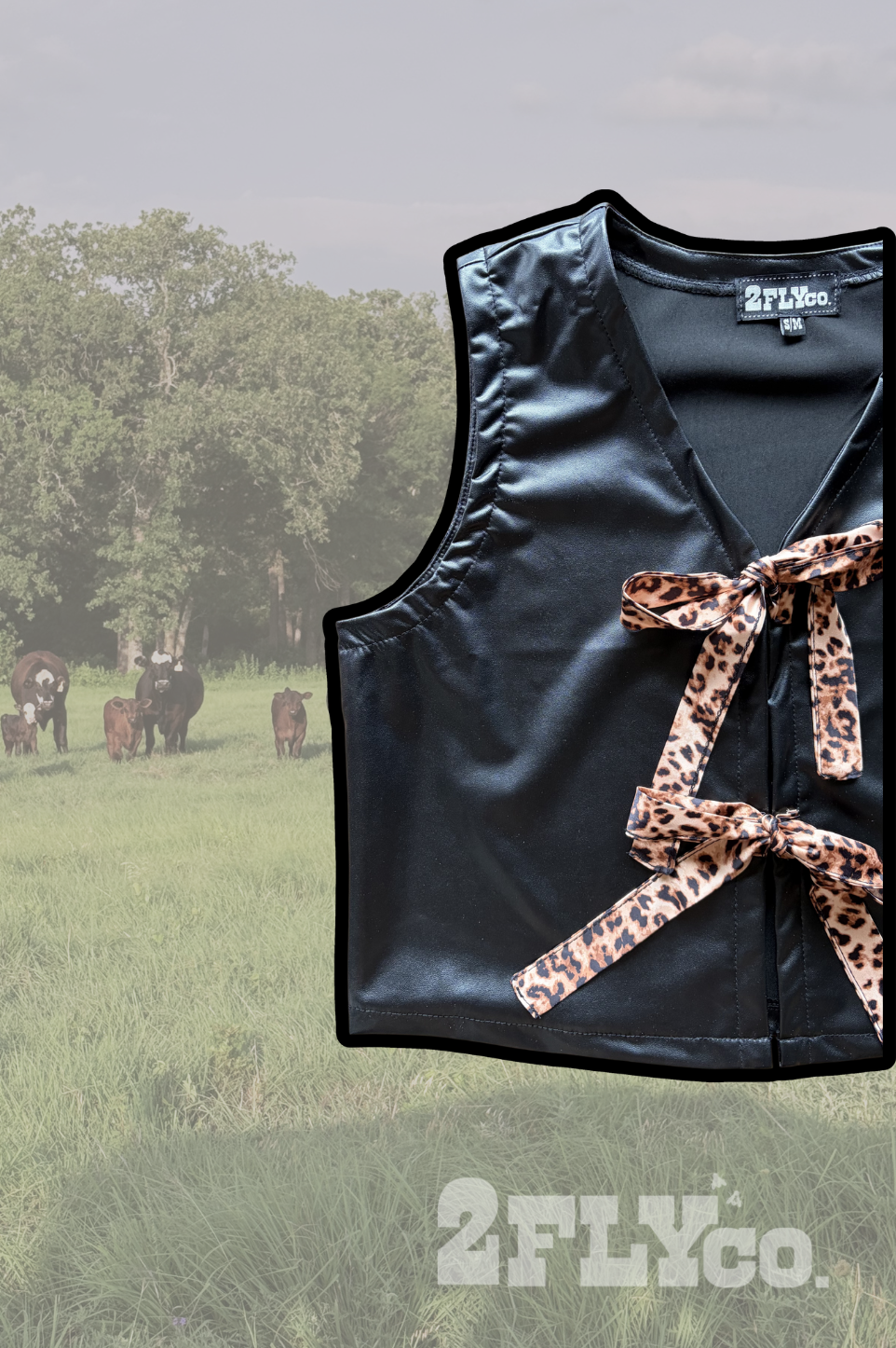 LASSO THA LEOPARD