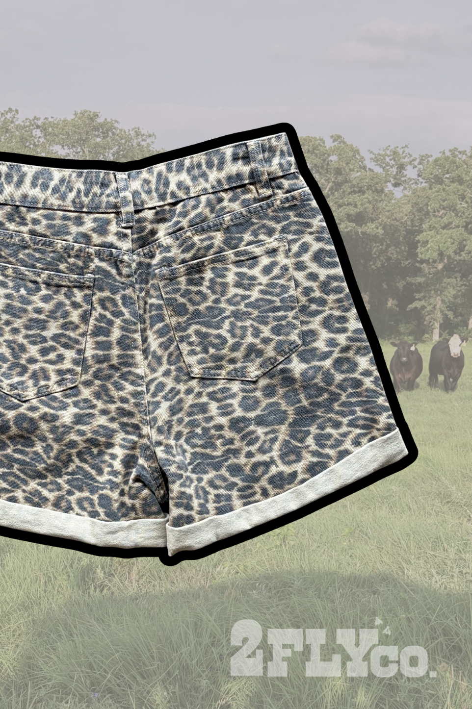 WILDCATTER SHORTS