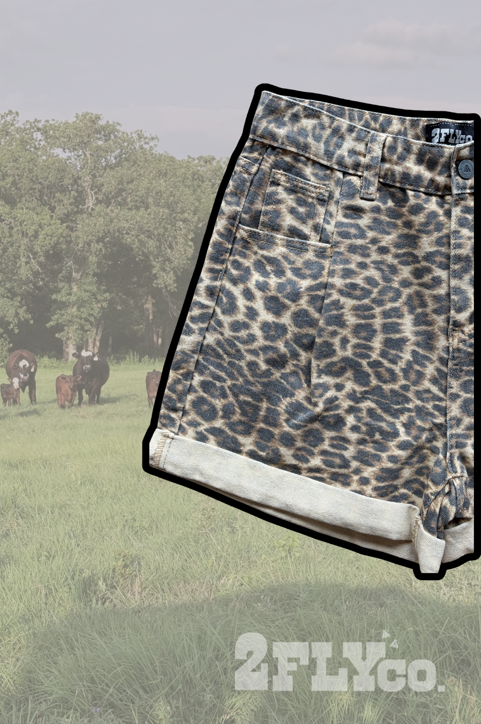 WILDCATTER SHORTS